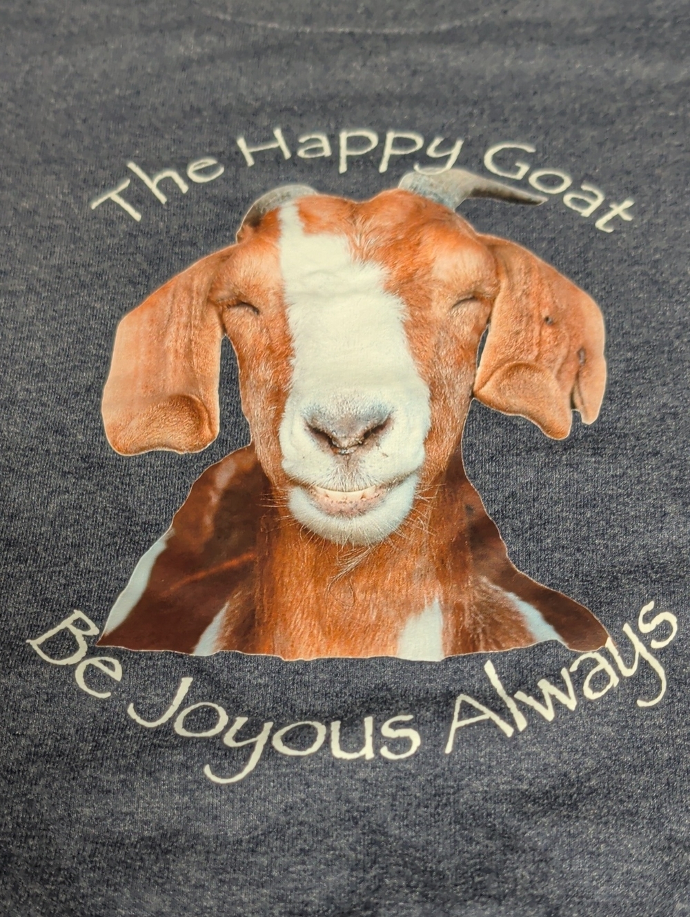 Hanes Navy 'The Happy Goat' Graphic Tee with Brown & White Goat
